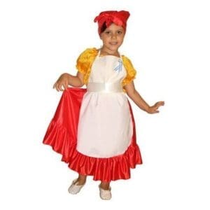 Disfraz patrio de Lavandera ARGENTINA