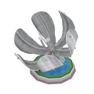 Rompecabezas 3D Floraris Genética