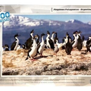 Rompecabezas 1000 Piezas - Pingüinos Patagónicos Patagonia Argentina