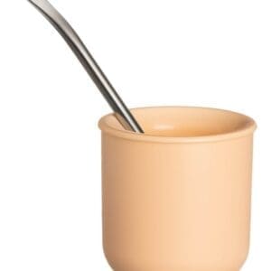 Mate Térmico Coral con Bombilla de Acero