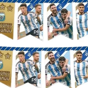 Banderin Seleccion Argentina 1u