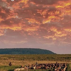 Argentina De Sassmannshausen, Katja