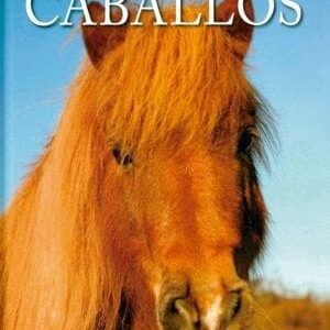 Animales En Imágenes: Caballos