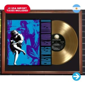 Colección Melómana - Cuadro Guns N R. Use Your Illusion Tapa Lp Y Disco De Oro