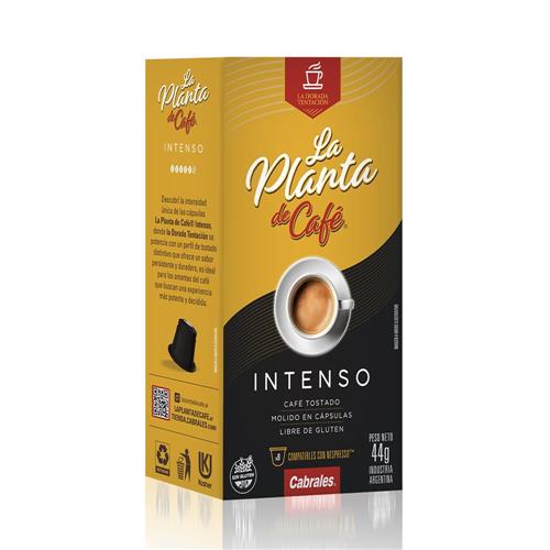 Cabrales - Cápsulas de Café Tostado Molido Intenso 44gr