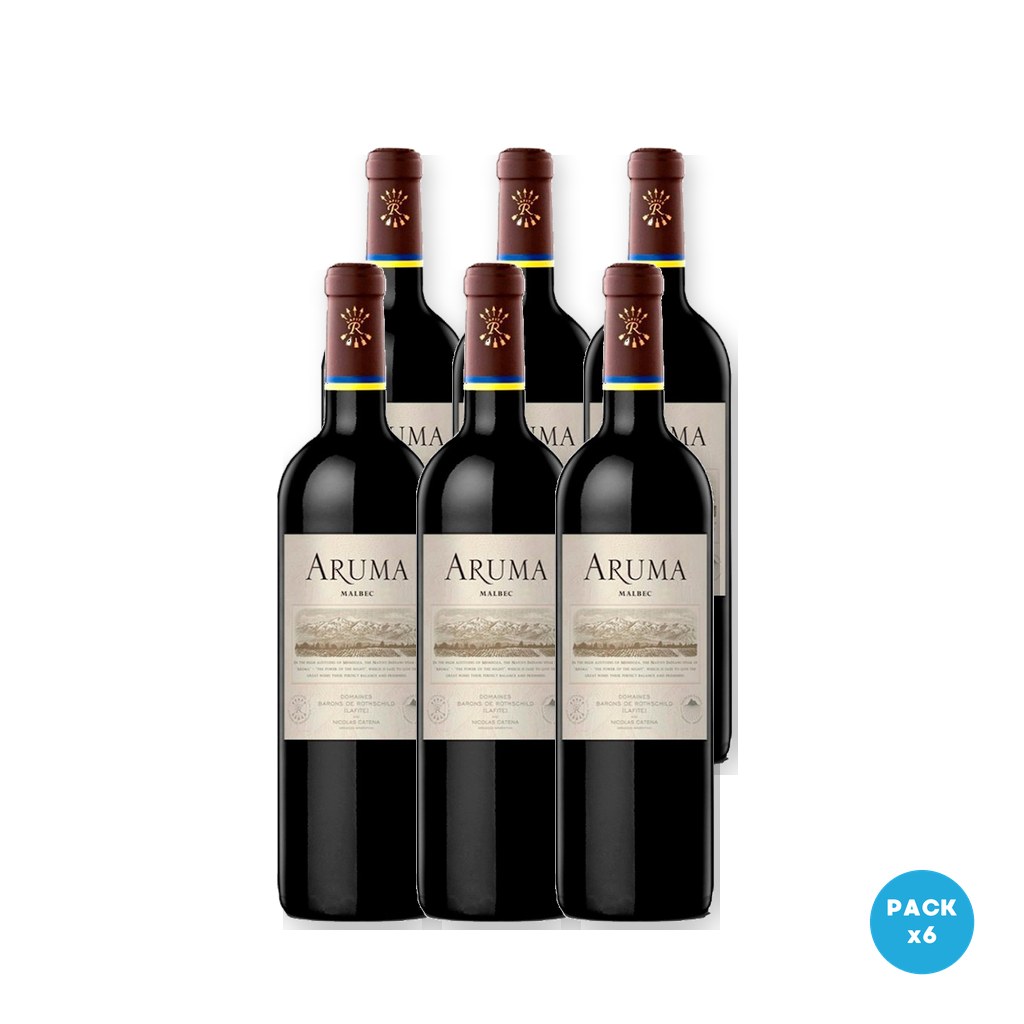 Caro - Vino Aruma Malbec 750ml - 6 unidades
