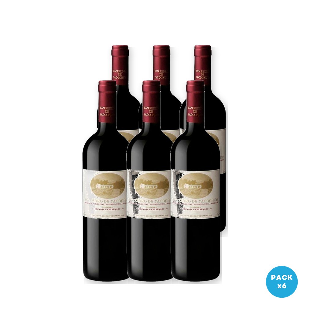 San Pedro Yacochuya - Vino Malbec Cabernet Sauvignon 750ml - 6 unidades