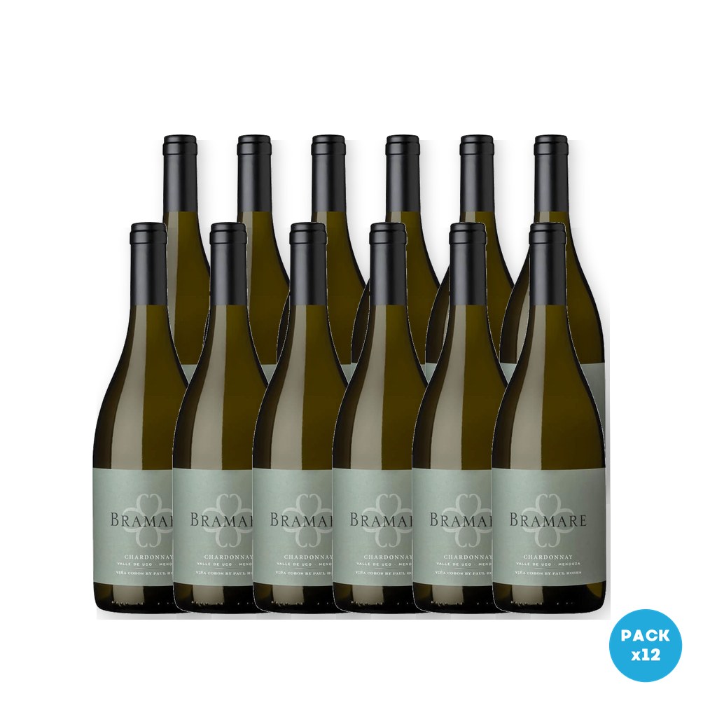Viña Cobos – Vino Bramare Valle De Uco Chardonnay 750ml – 12 unidades Viña Cobos - Vino Bramare Valle De Uco Chardonnay 750ml - 12 unidades