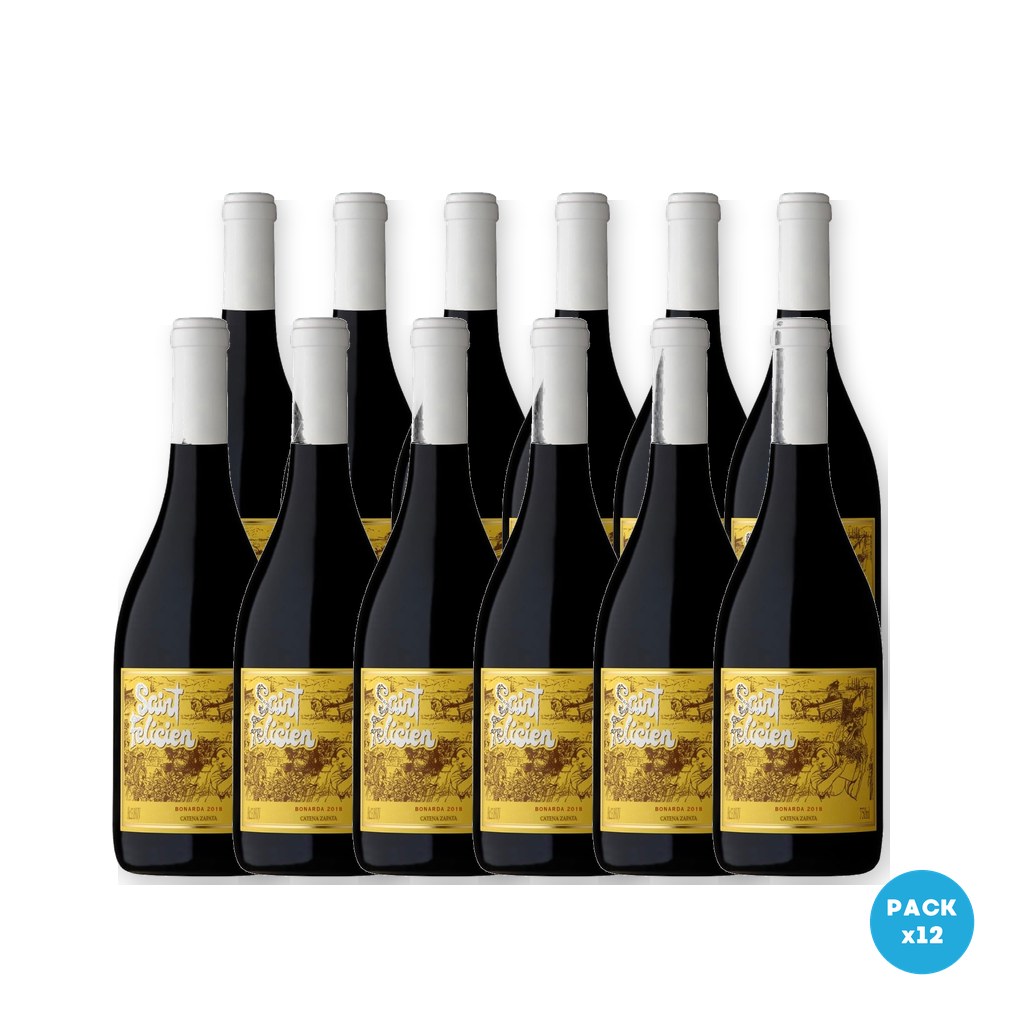 Saint Felicien – Vino Bonarda 750ml – 12 unidades Saint Felicien - Vino Bonarda 750ml - 12 unidades